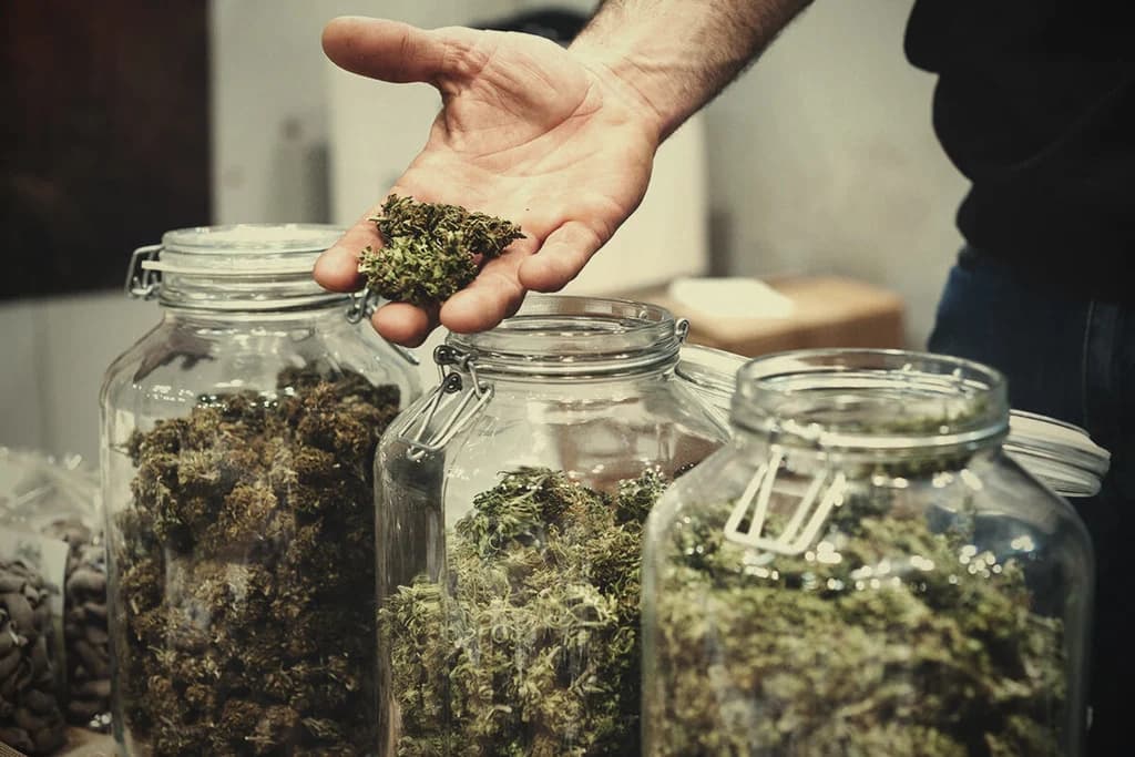 Cannabis Club Barcelona: Vorteile gegenüber Coffeeshops