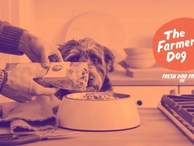 The Farmers Dog Price Review: Is It Worth the Premium?