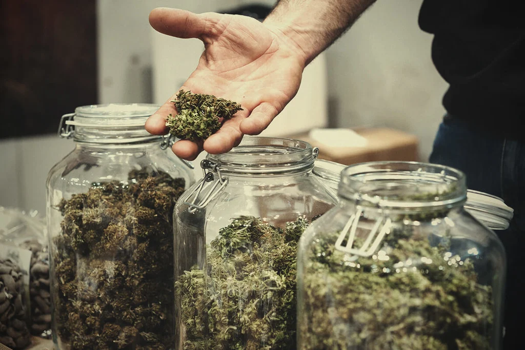 Cannabis Club Barcelona: Vorteile gegenüber Coffeeshops