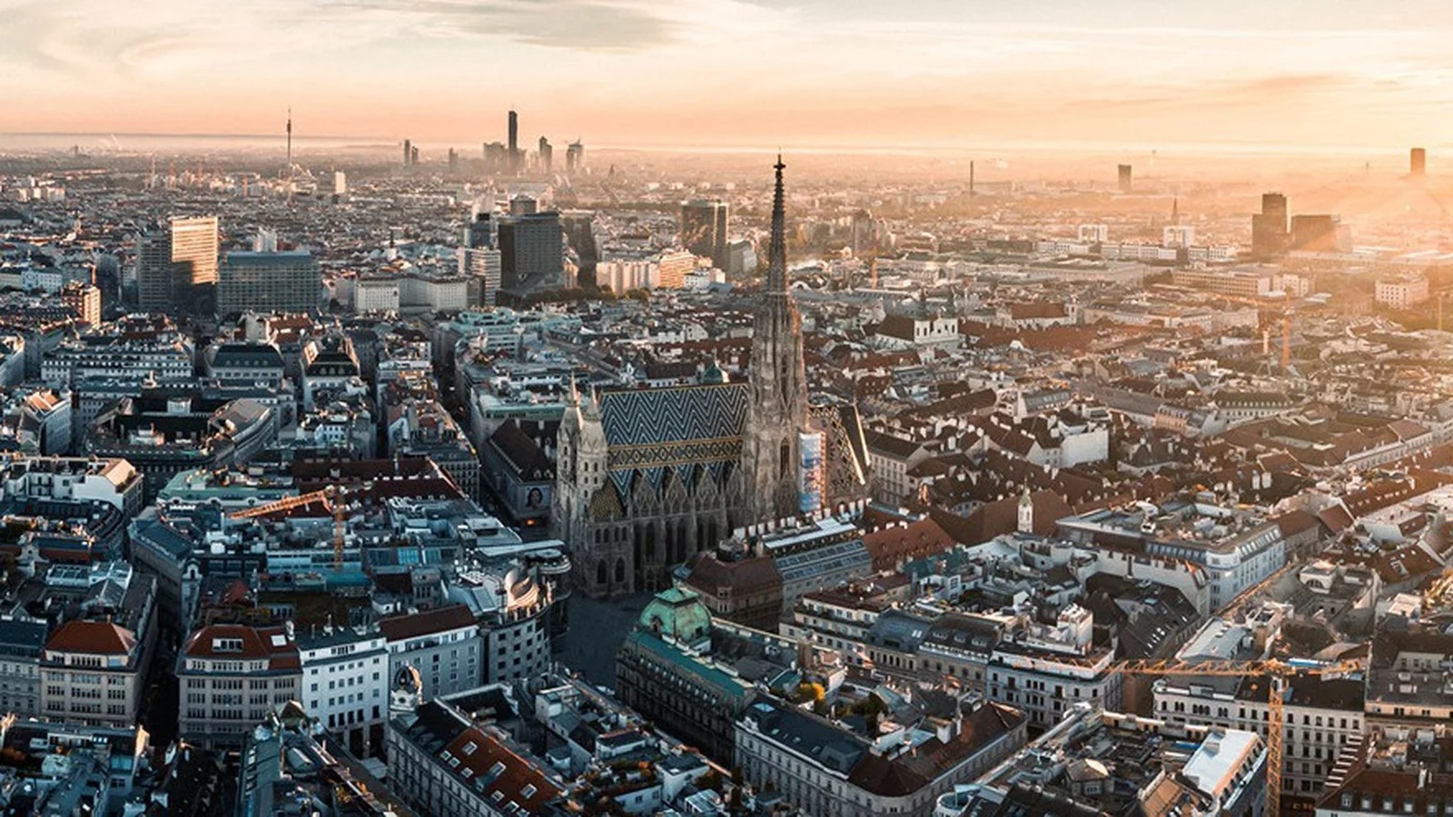 Aktuelle Wien news: Was passiert in der Hauptstadt Österreichs?